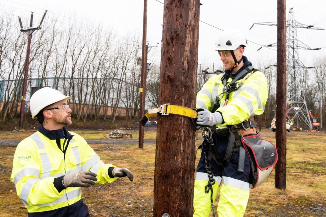 Pole training.jpg