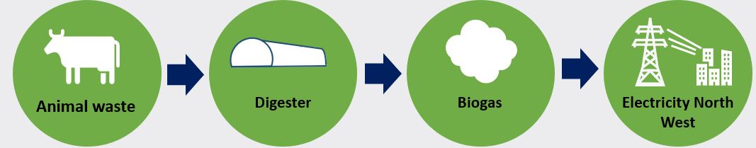 Biomass process.JPG