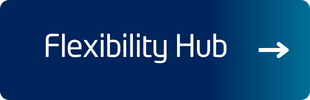 visit Flexibility Hub button
