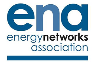 ENA logo.PNG