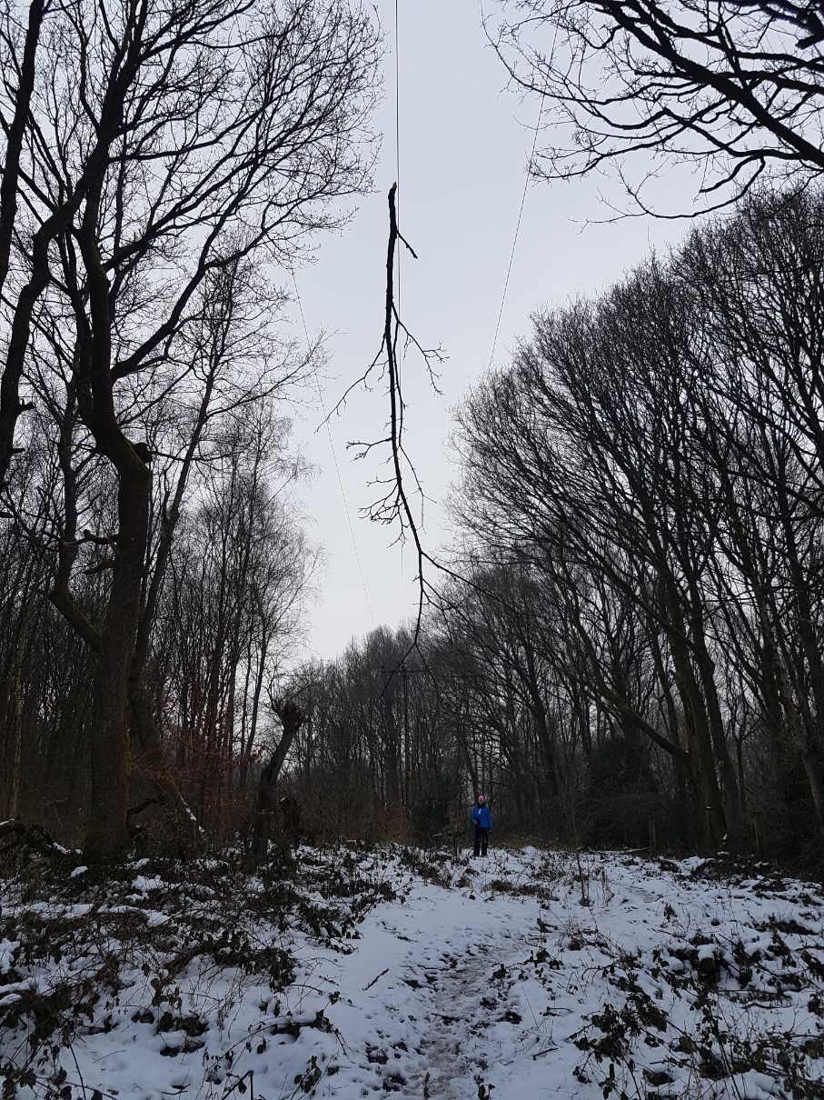 A walker near the branch that could have killed her partner