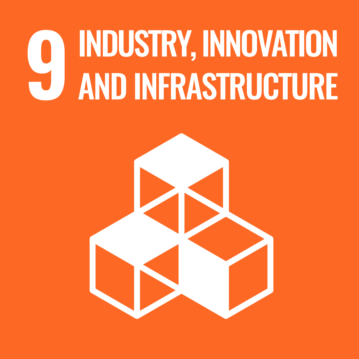 Headshot of Industry, Innovation and Infrastructure