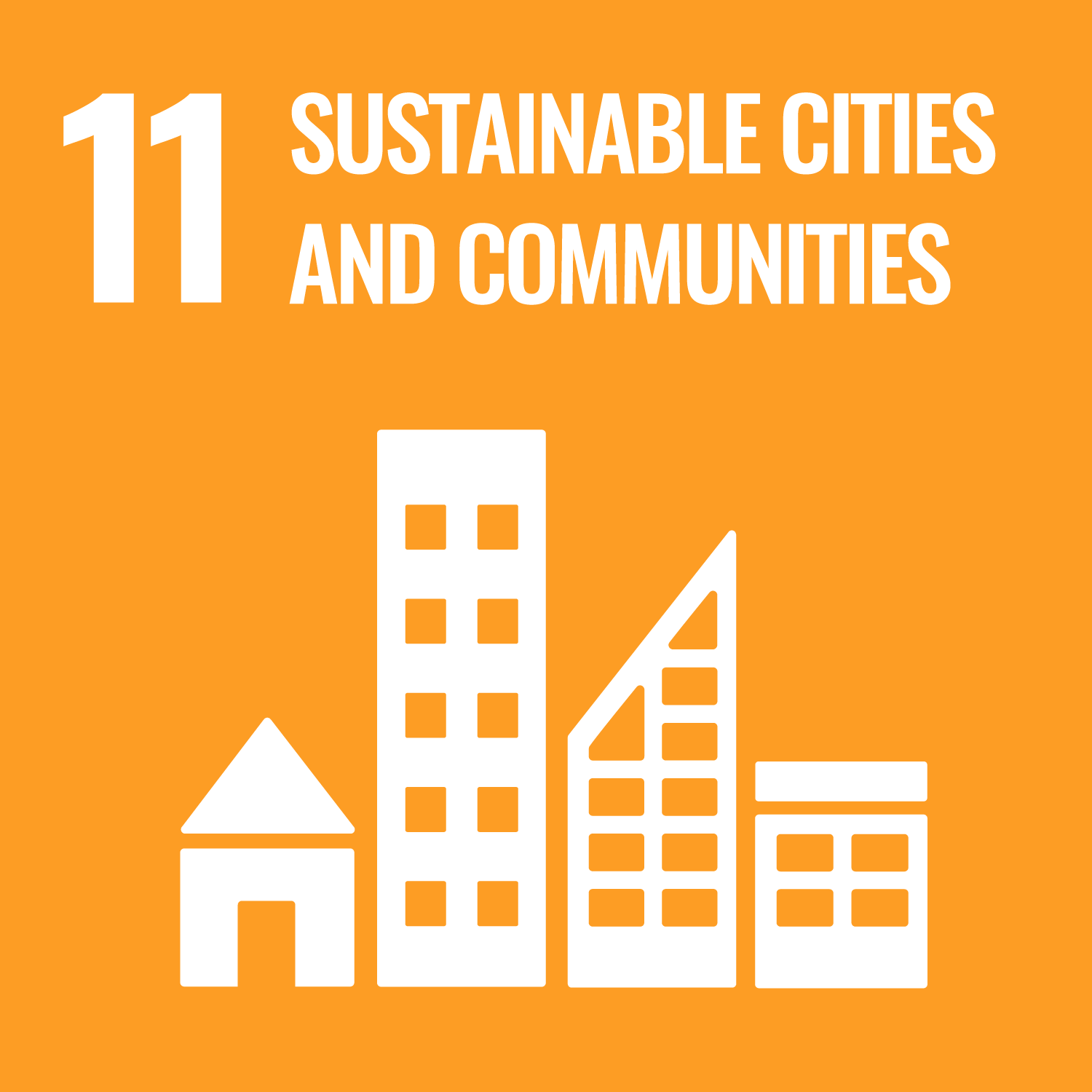 Headshot of Sustainable Cities and Communities